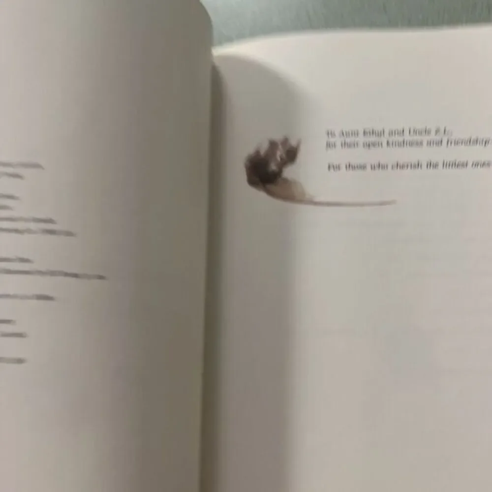 MICE ARE NICE By Nancy Larrick - Hardcover 1990 Poems Art By Ed Young W/dust‎
